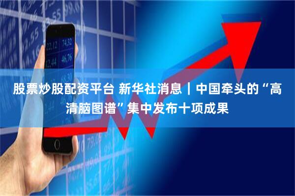 股票炒股配资平台 新华社消息｜中国牵头的“高清脑图谱”集中发布十项成果