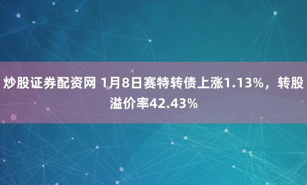 炒股证券配资网 1月8日赛特转债上涨1.13%，转股溢价率42.43%