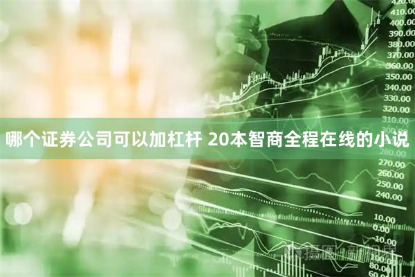 哪个证券公司可以加杠杆 20本智商全程在线的小说